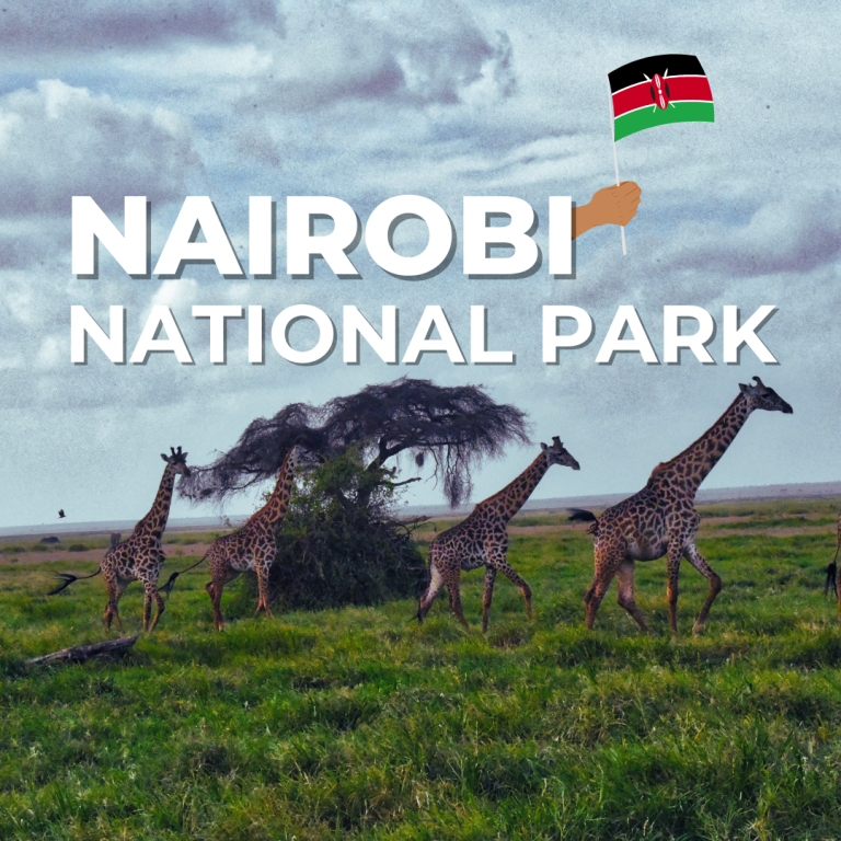 Nairobi National ParK