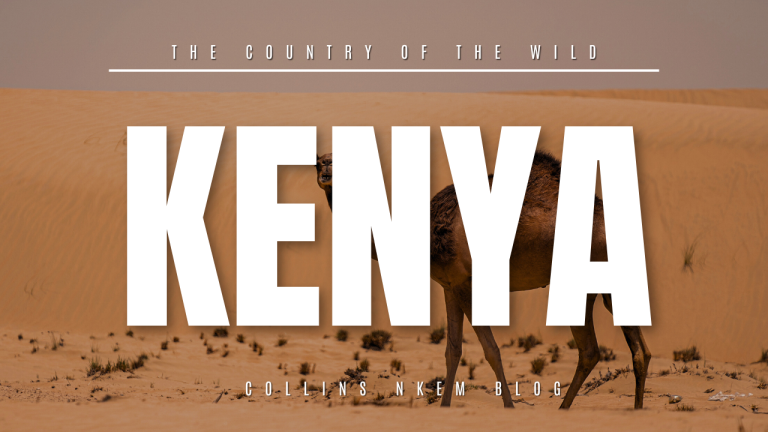 Why you should visit Kenya today