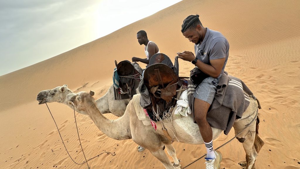 Why Is Senegal So Expensive: You Should Visit 14 Desert of Lompoul Senegal camel