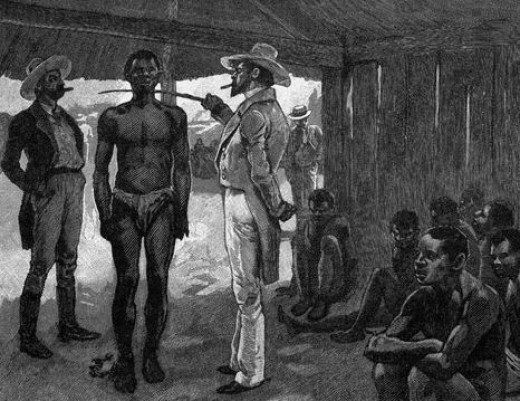 The Processes & Conditions of the Transatlantic Slave Trade